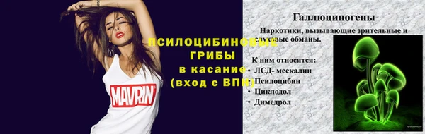 винт Каменногорск