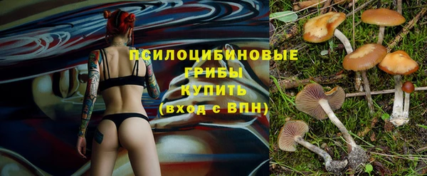 винт Каменногорск