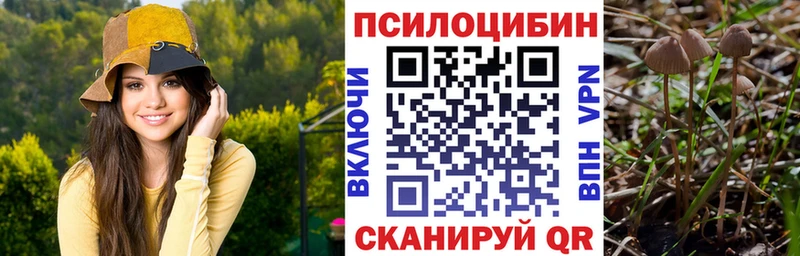 где купить   Касли  Галлюциногенные грибы ЛСД 